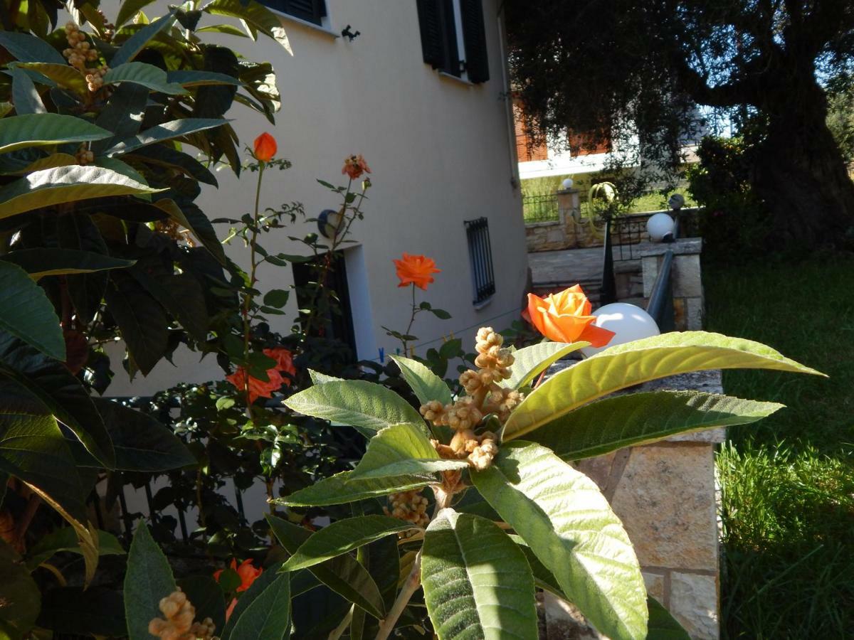 Villa Dimitra Sívota Esterno foto